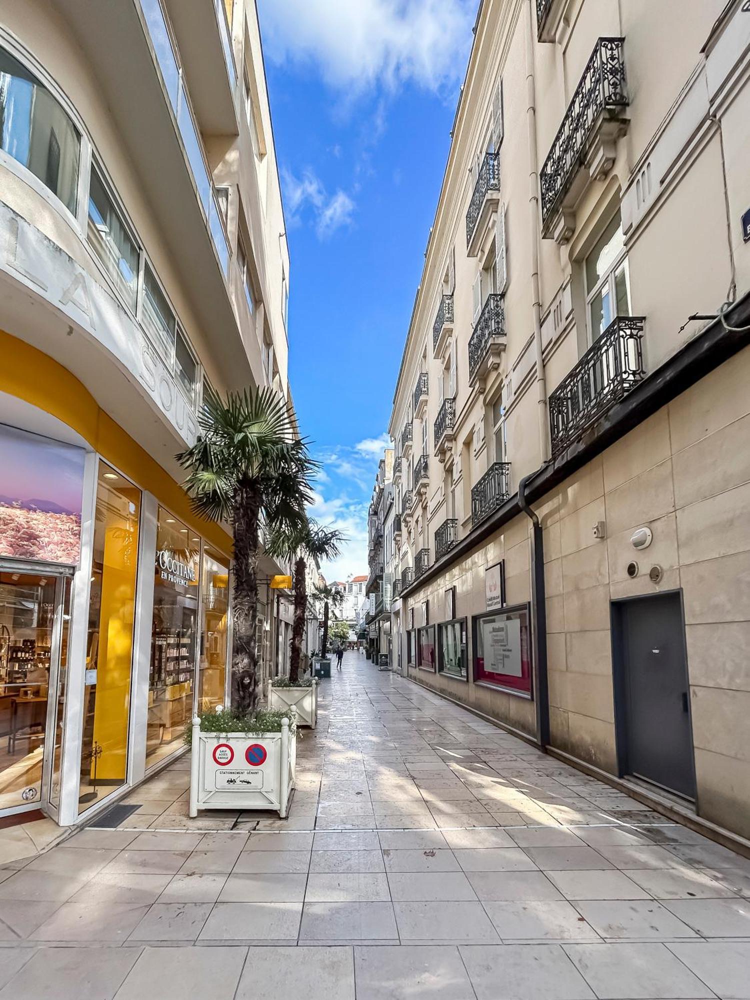 Apartment Lumineux Proche Du Parc Des Sources Vichy